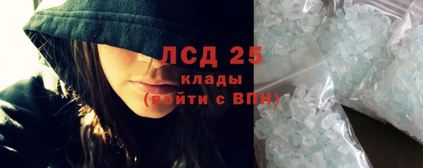 шишки Арсеньев