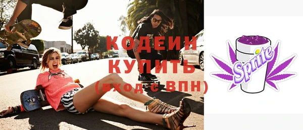шишки Арсеньев