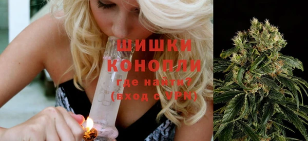гашик Аркадак