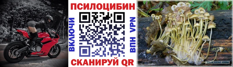 Псилоцибиновые грибы Psilocybe Нея