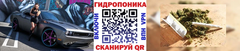 гидра зеркало  Нея  Бошки Шишки конопля 